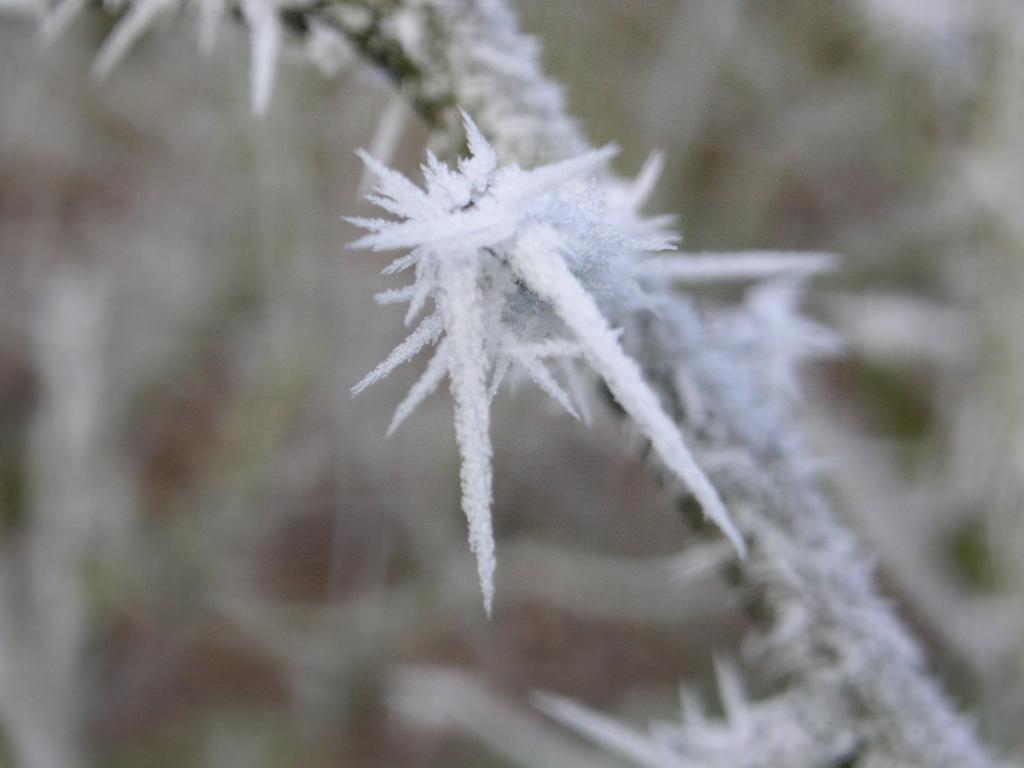 Eiskristalle 005